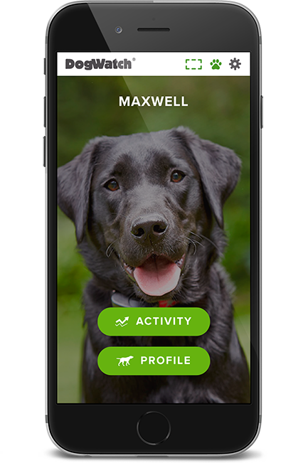 DogWatch of Southeast Missouri, Jackson, Missouri | SmartFence WebApp Image