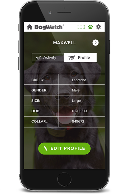 DogWatch of Southeast Missouri, Jackson, Missouri | SmartFence WebApp Image